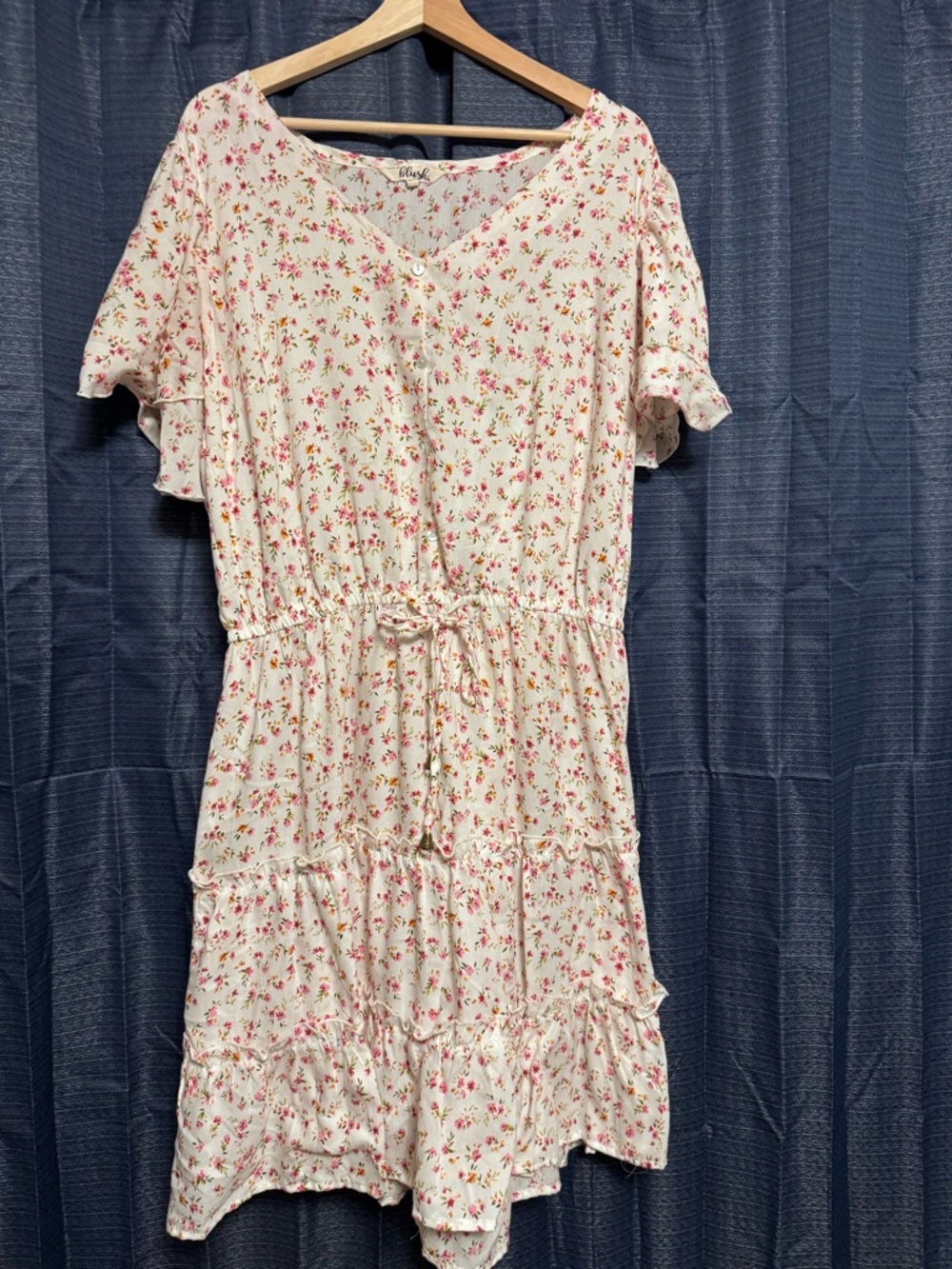 Hint of Blush plus size petite floral pattern dress Size 2X